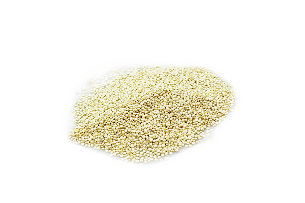 Graines de quinoa biologiques