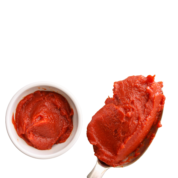 Purée de tomate biologique 