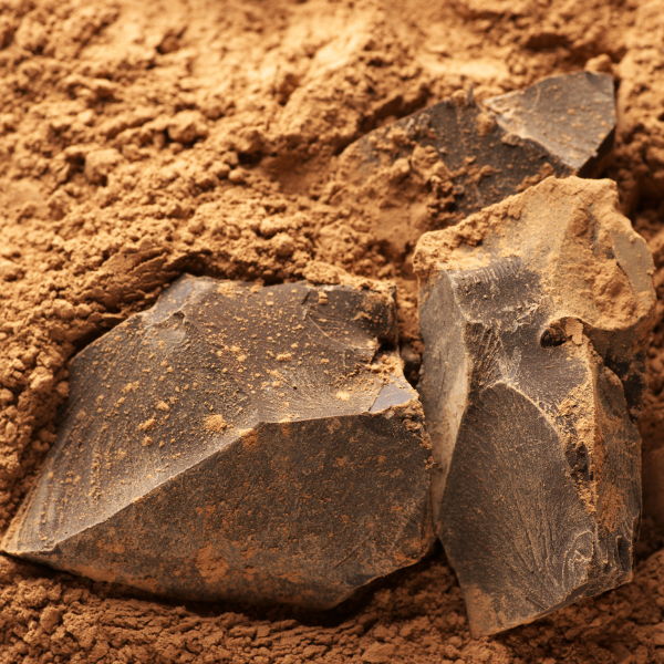 Masse de cacao biologique