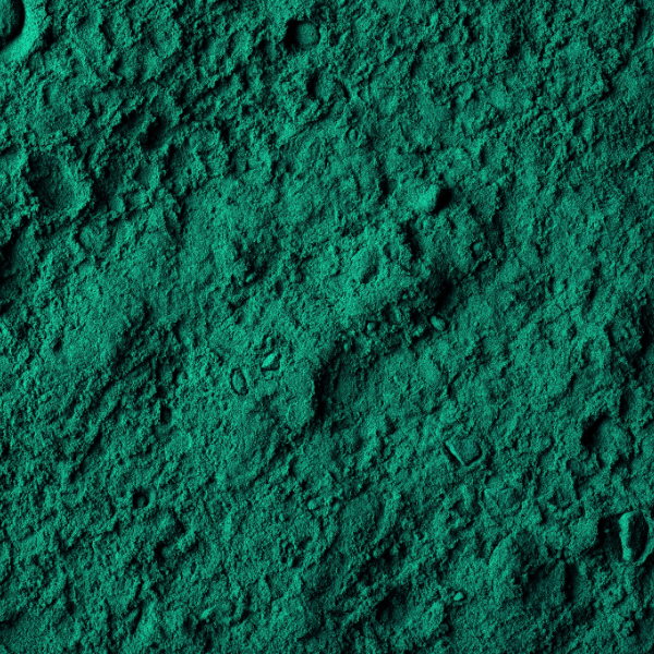 SPIRULINE EN POUDRE BIOLOGIQUE