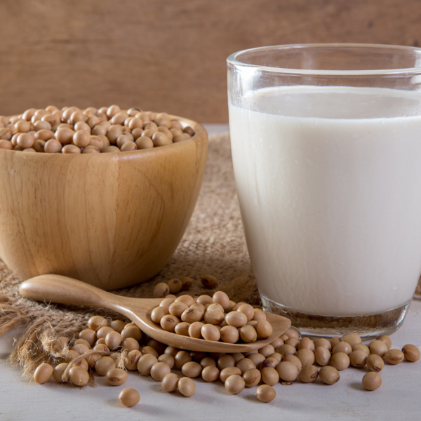 BOISSON VEGETALE AU SOJA UHT BIO
