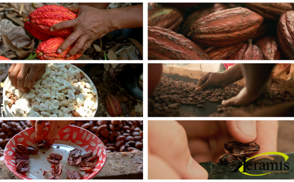L’histoire de Keramis fabricant et producteur de chocolat issu de l’agriculture biologique.